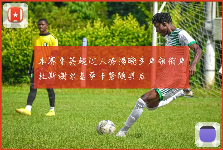本赛季英超过人榜揭晓多库领衔库杜斯谢尔基萨卡紧随其后